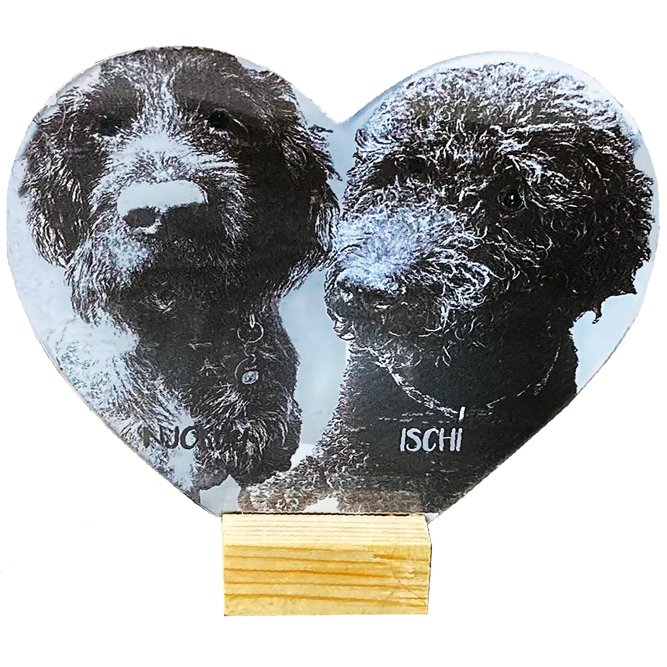 Pet and Human Acrilyc  Plaques  Personalised with Photo and Text.