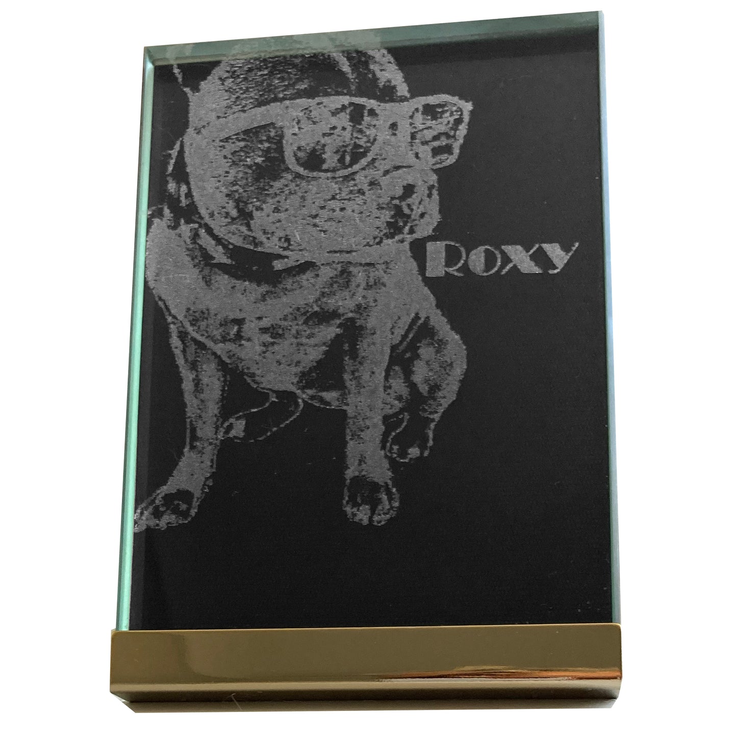 Photo Products - Pet Portrait Glass Block