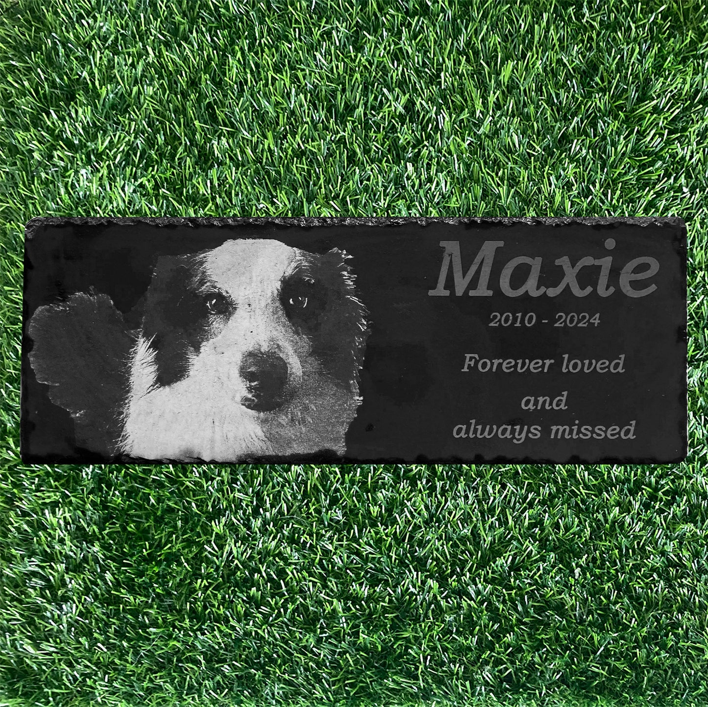 Memorial Photo Plaques Personalised Pet tribute. Inside, Outdoor and Gardening.SMALL SIZES