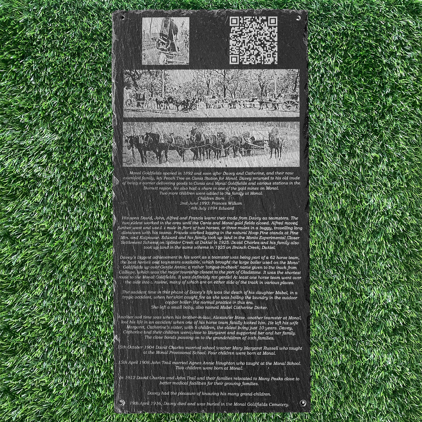 PET & HUMAN HOLE PLAQUES