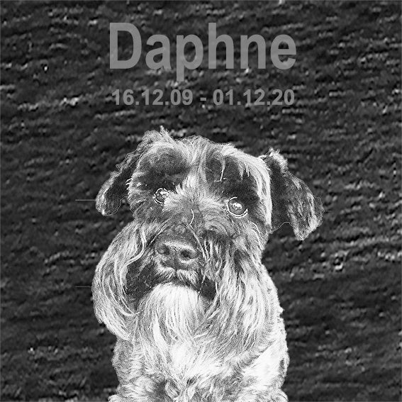 Memorial Photo Plaques Personalised for any Pet. Inside, outdoor and gardening. LARGE SIZES