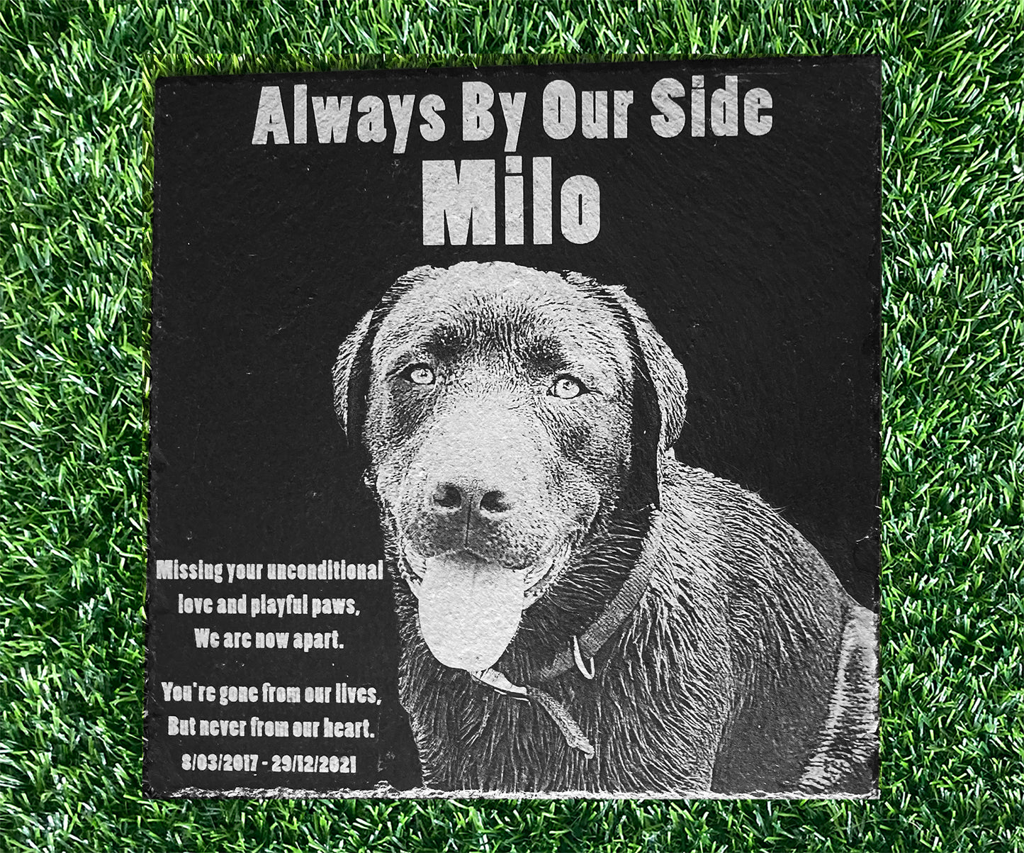 Memorial Photo Plaques Personalised for any Pet. Inside, outdoor and gardening. LARGE SIZES