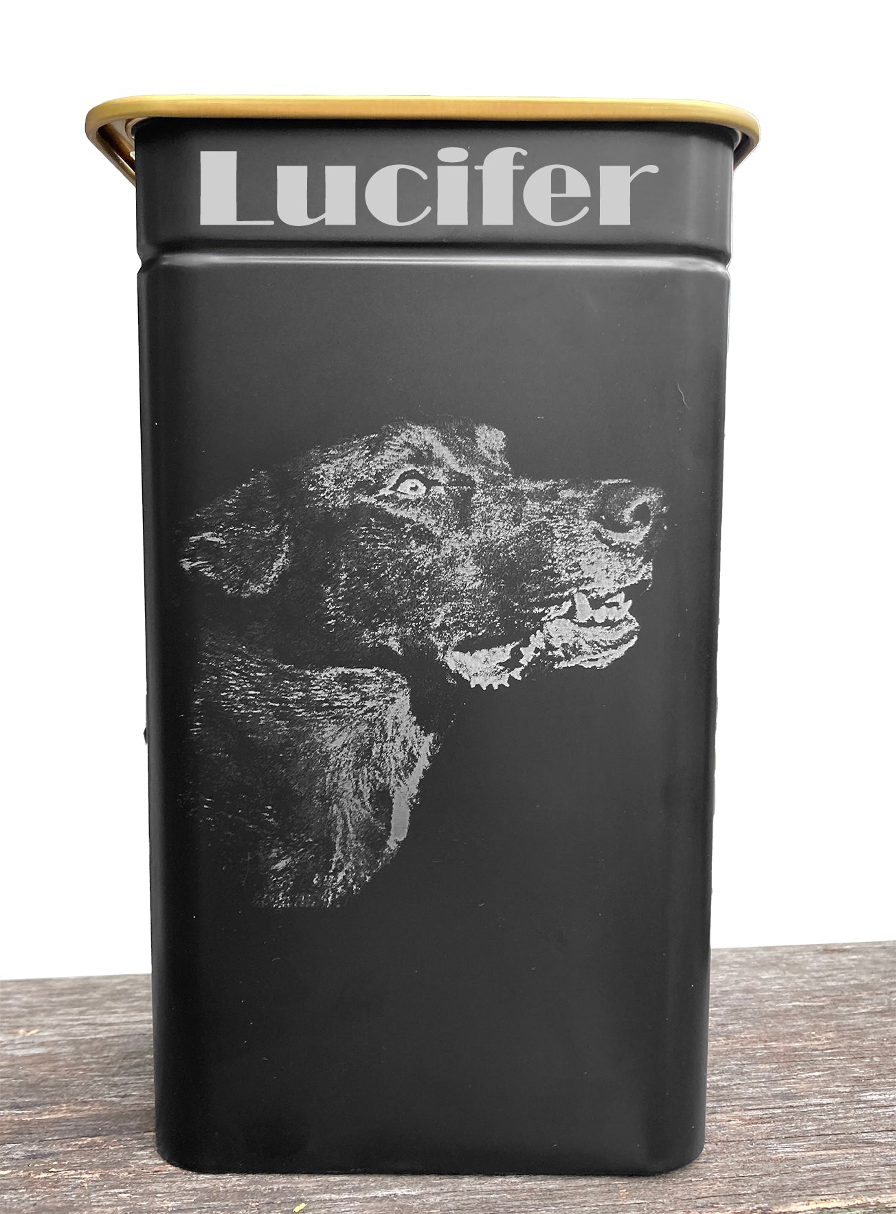 Photo Keepsake Urn for Pet Ashes - Large