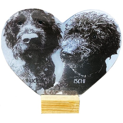 Pet and Human Acrilyc  Plaques  Personalised with Photo and Text.