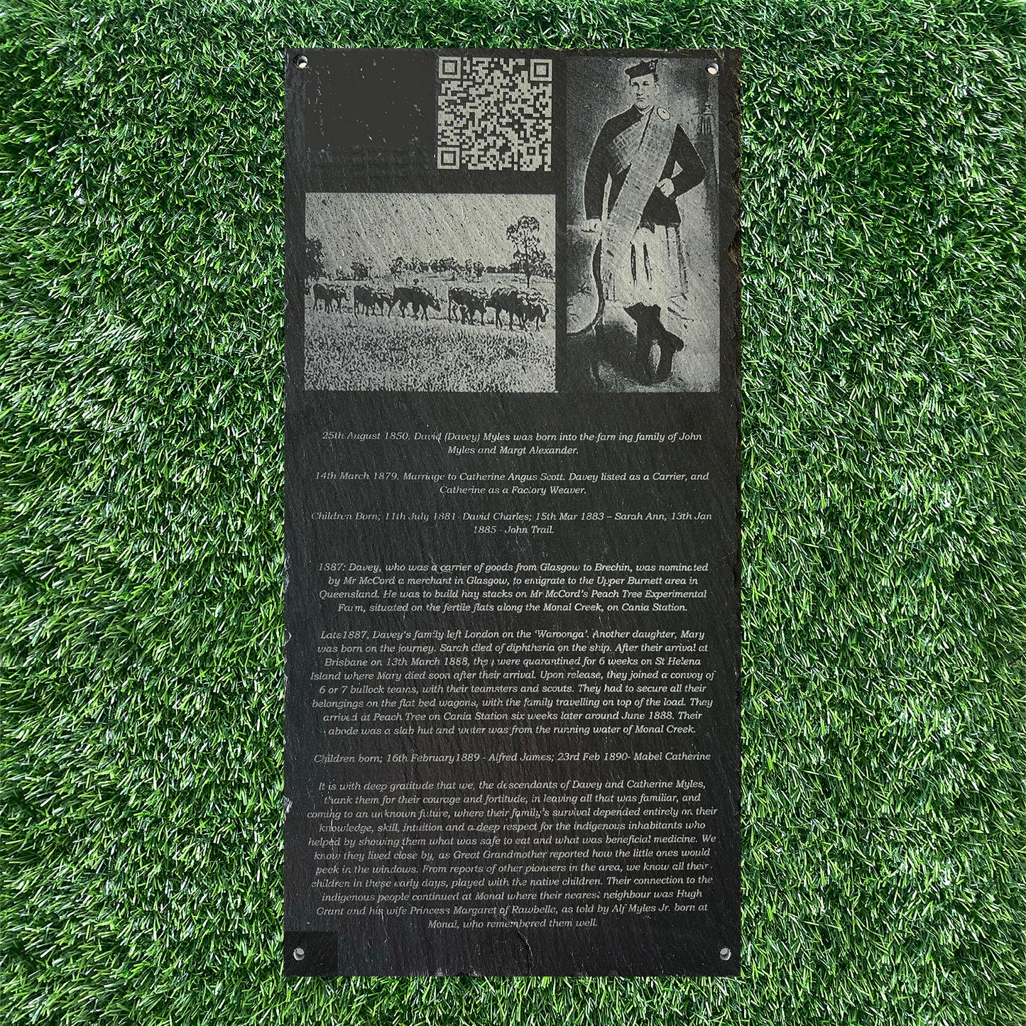 PET & HUMAN HOLE PLAQUES