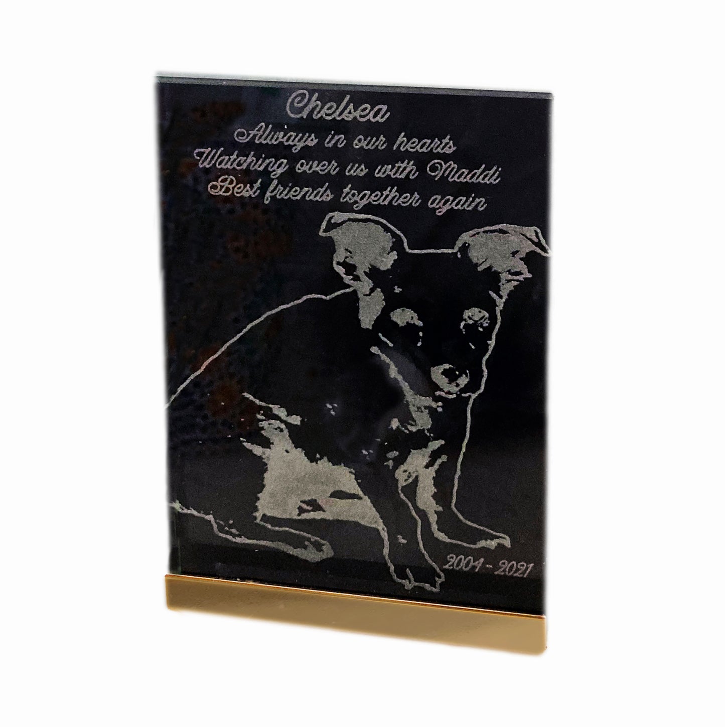 Photo Products - Pet Portrait Glass Block