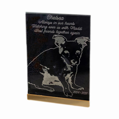 Photo Products - Pet Portrait Glass Block