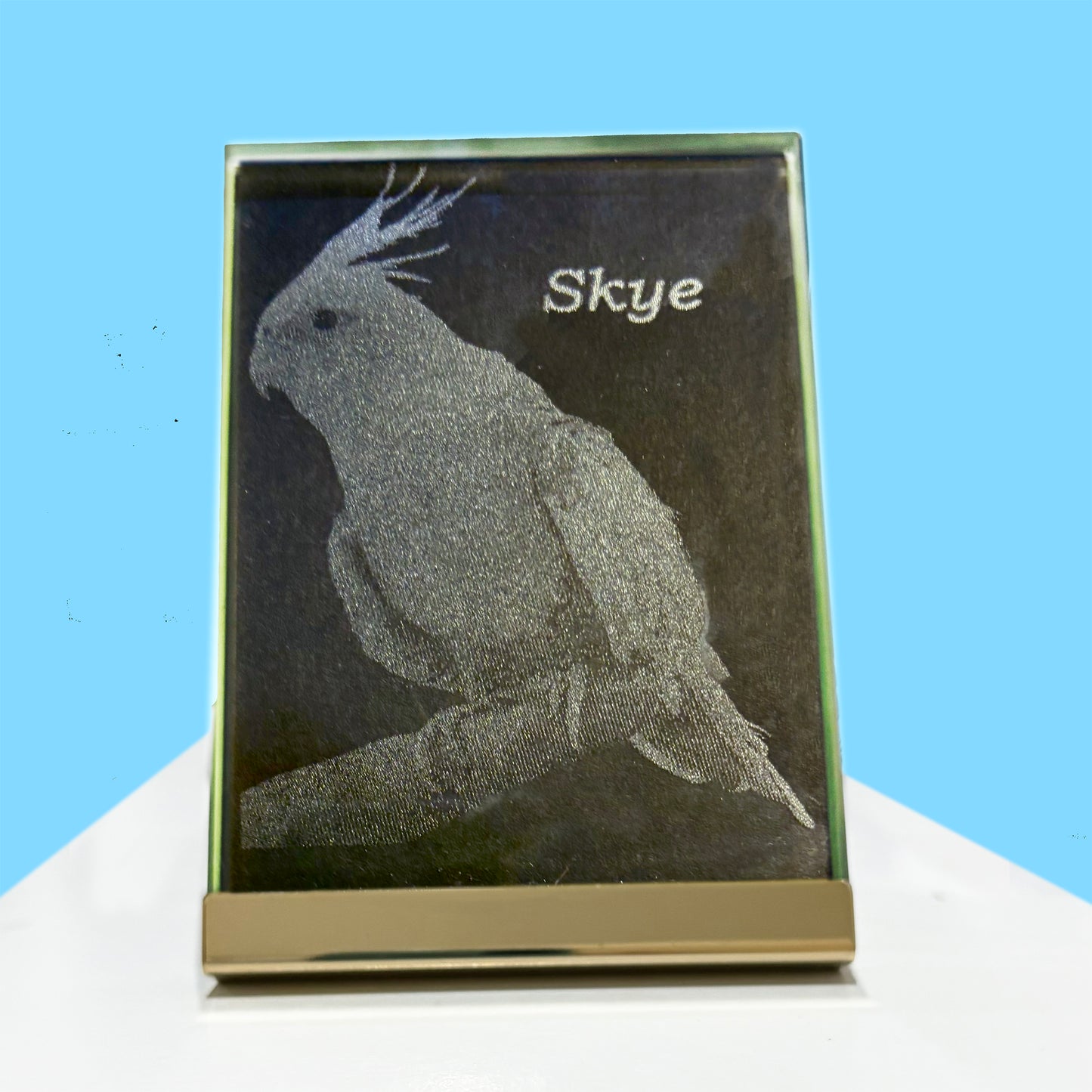Photo Products - Pet Portrait Glass Block