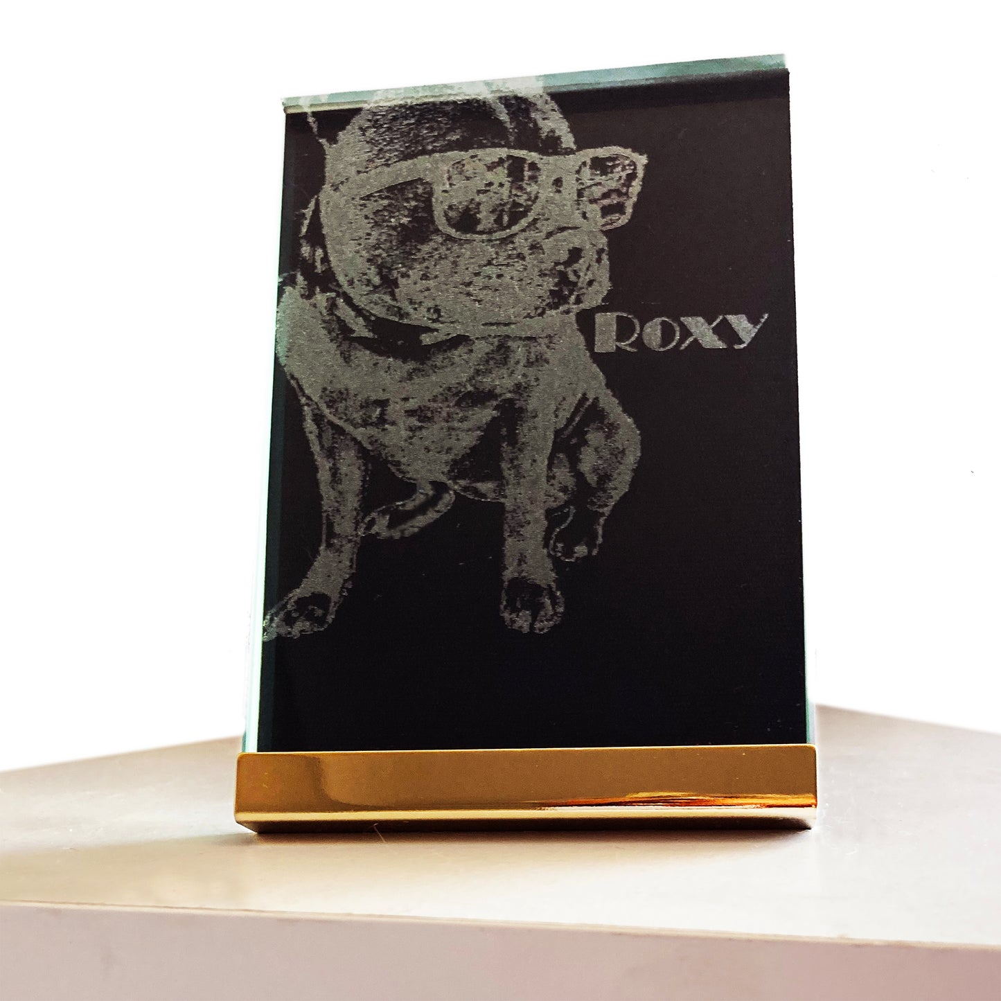 Photo Products - Pet Portrait Glass Block
