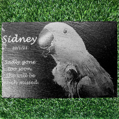 Memorial Photo Plaques Personalised for any Pet. Inside, outdoor and gardening. LARGE SIZES