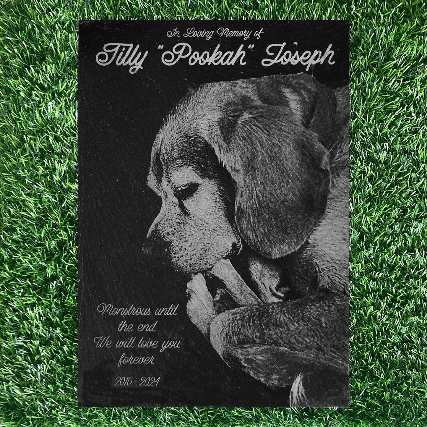 Memorial Photo Plaques Personalised for any Pet. Inside, outdoor and gardening. LARGE SIZES