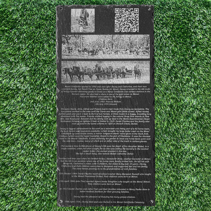 PET & HUMAN HOLE PLAQUES