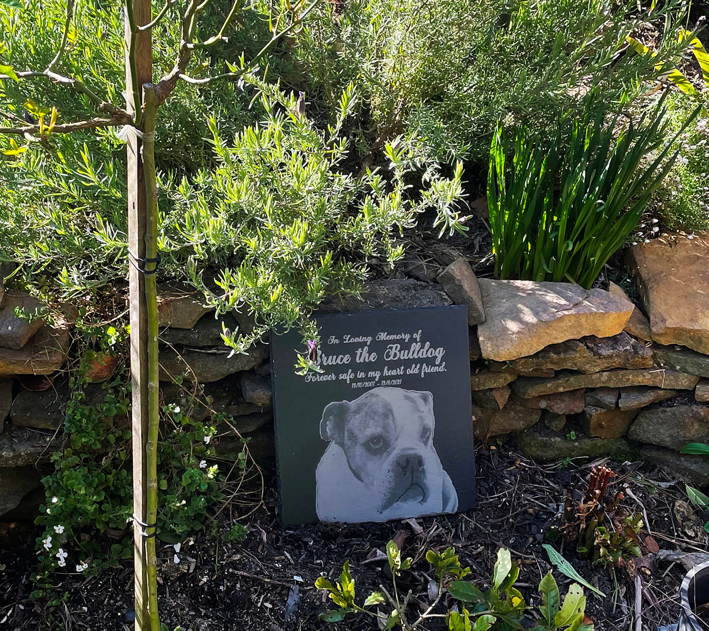 Memorial Photo Plaques Personalised for any Pet. Inside, outdoor and gardening. LARGE SIZES