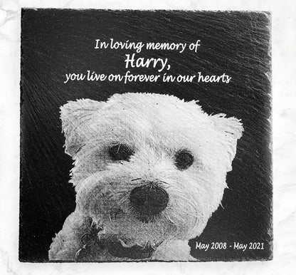 Memorial Photo Plaques Personalised Pet tribute. Inside, Outdoor and Gardening.SMALL SIZES
