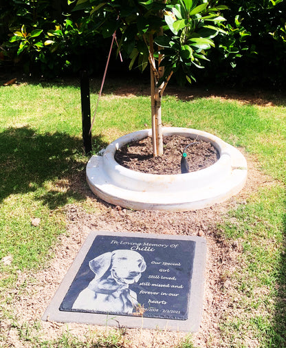 Memorial Photo Plaques Personalised for any Pet. Inside, outdoor and gardening. LARGE SIZES